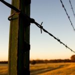 barb-wire-fences-college-station